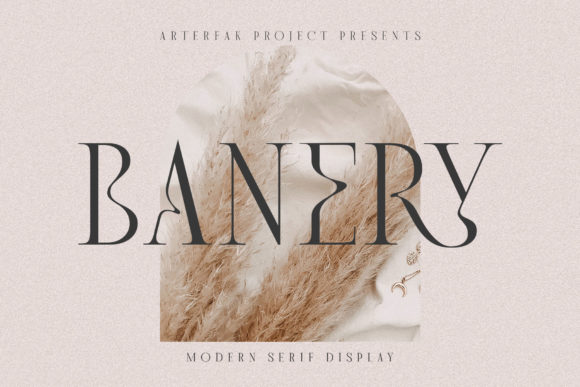 Banery Serif Font for Modern Web Design