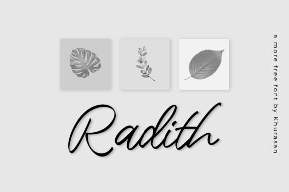Radith: A Handwritten Font That Brings Labels and Labels to Life