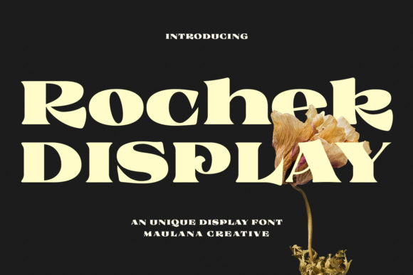 Rochek Font for Web Design: A Stylish Display Type