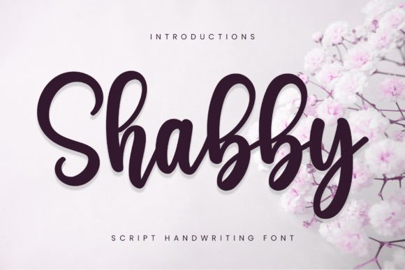 Shabby: A Handwritten Font for Editorial Elegance